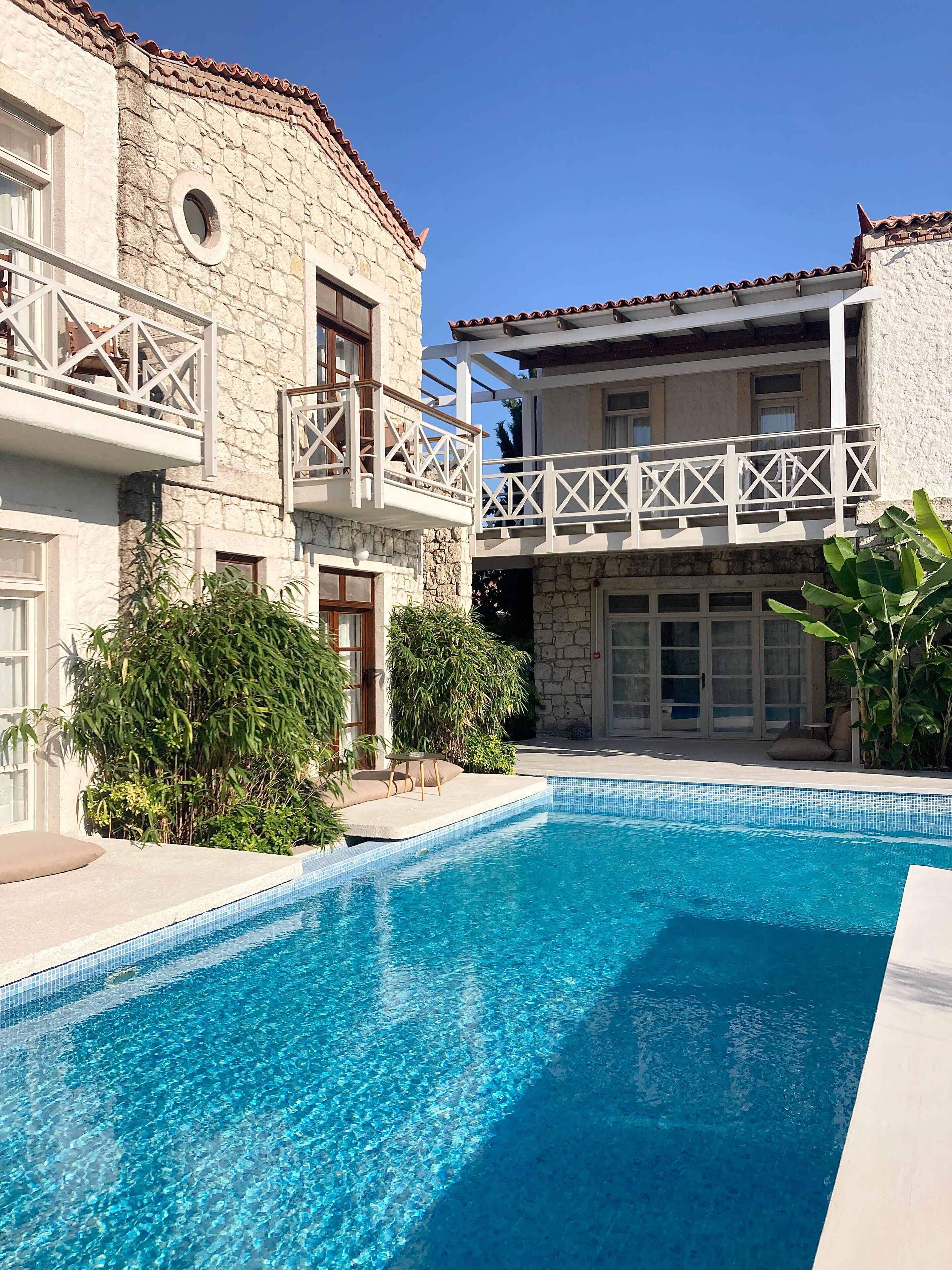 Palma Alacati dis gorunum